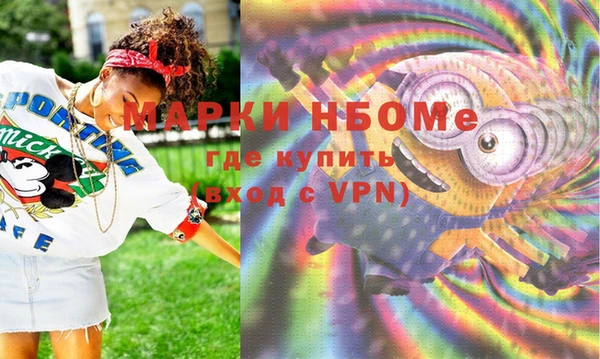 МДПВ Пересвет